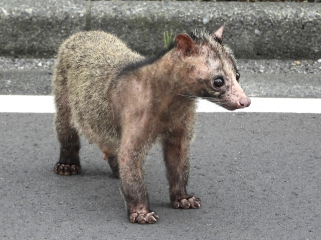 今すぐお問い合わせを！